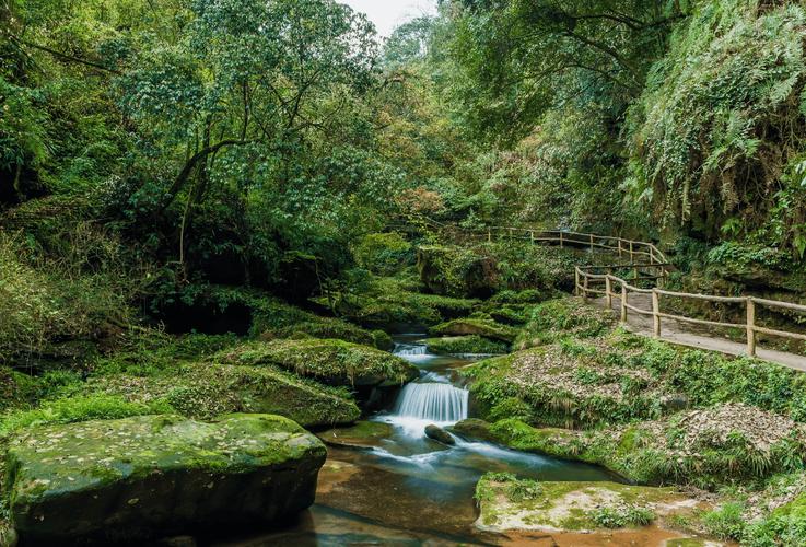 教师资格证去哪些景区免费景点