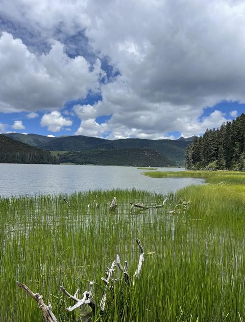 普达措国家公园开放了几个景点