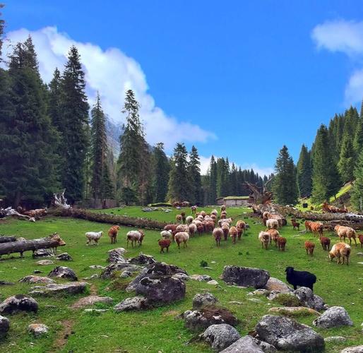 伊犁的旅游景点都有些什么地方