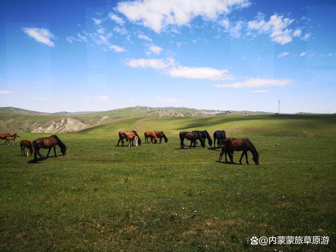 科尔沁大草原旅游攻略自驾游