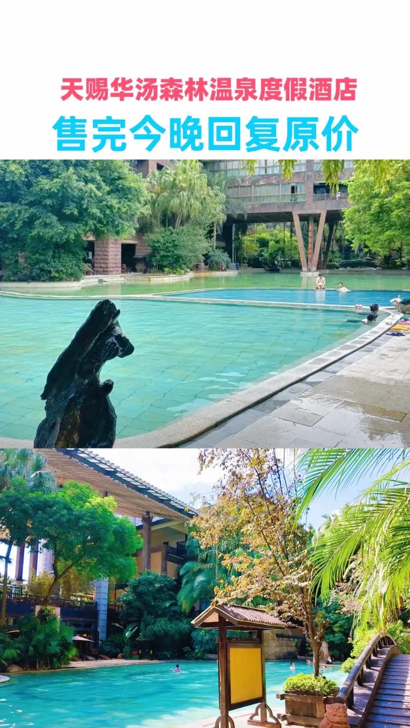 天赐华汤森林温泉度假酒店