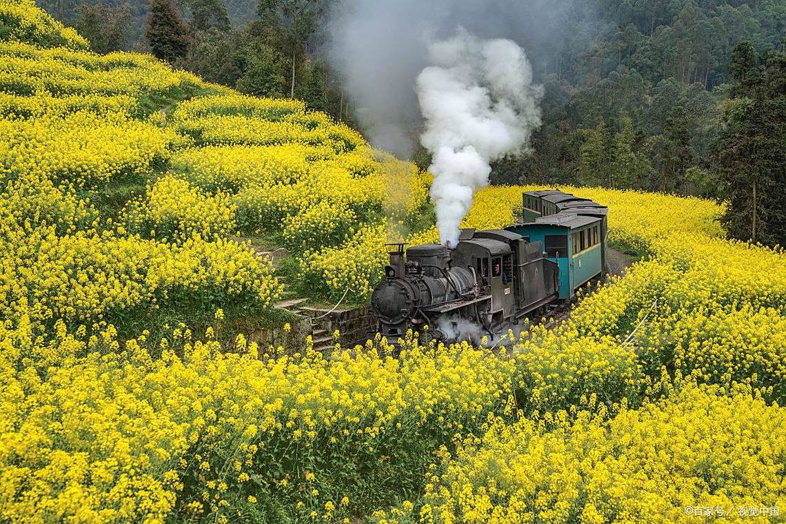 乐山嘉阳小火车自驾游攻略