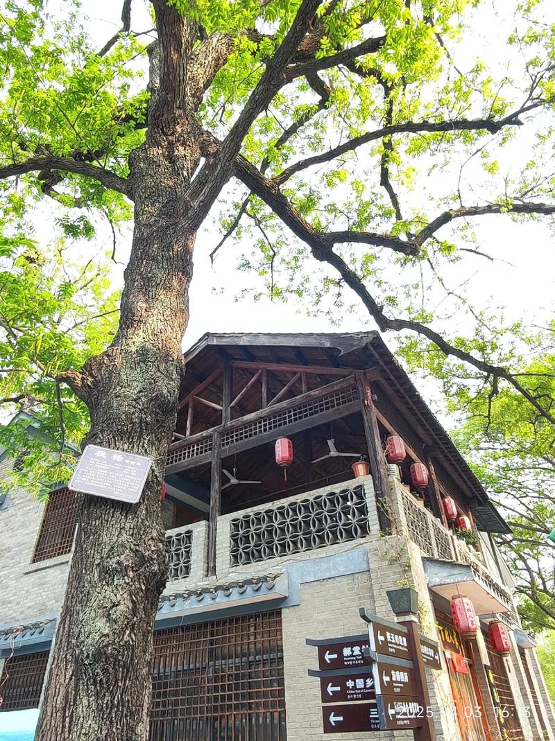 信阳郝堂村一日游都有什么景点