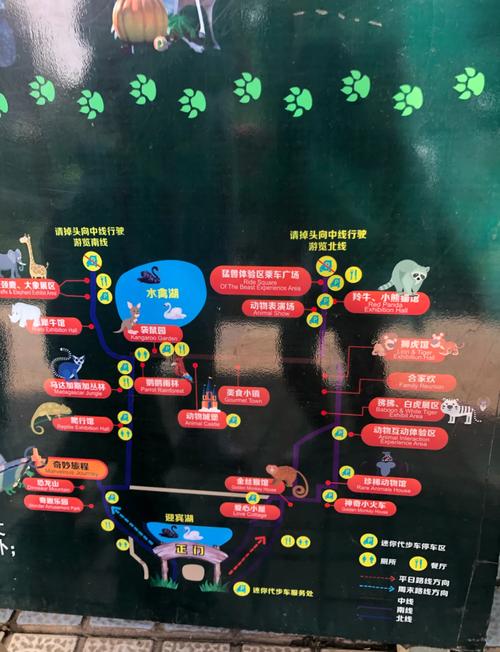 北京野生动物园自驾游攻略