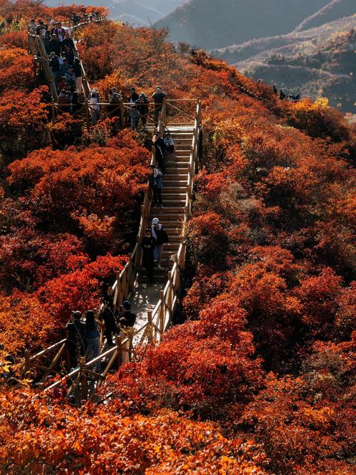 北京60岁以上免费景点有哪些