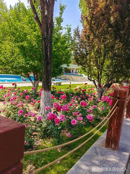 廊坊附近一日游景点自驾游