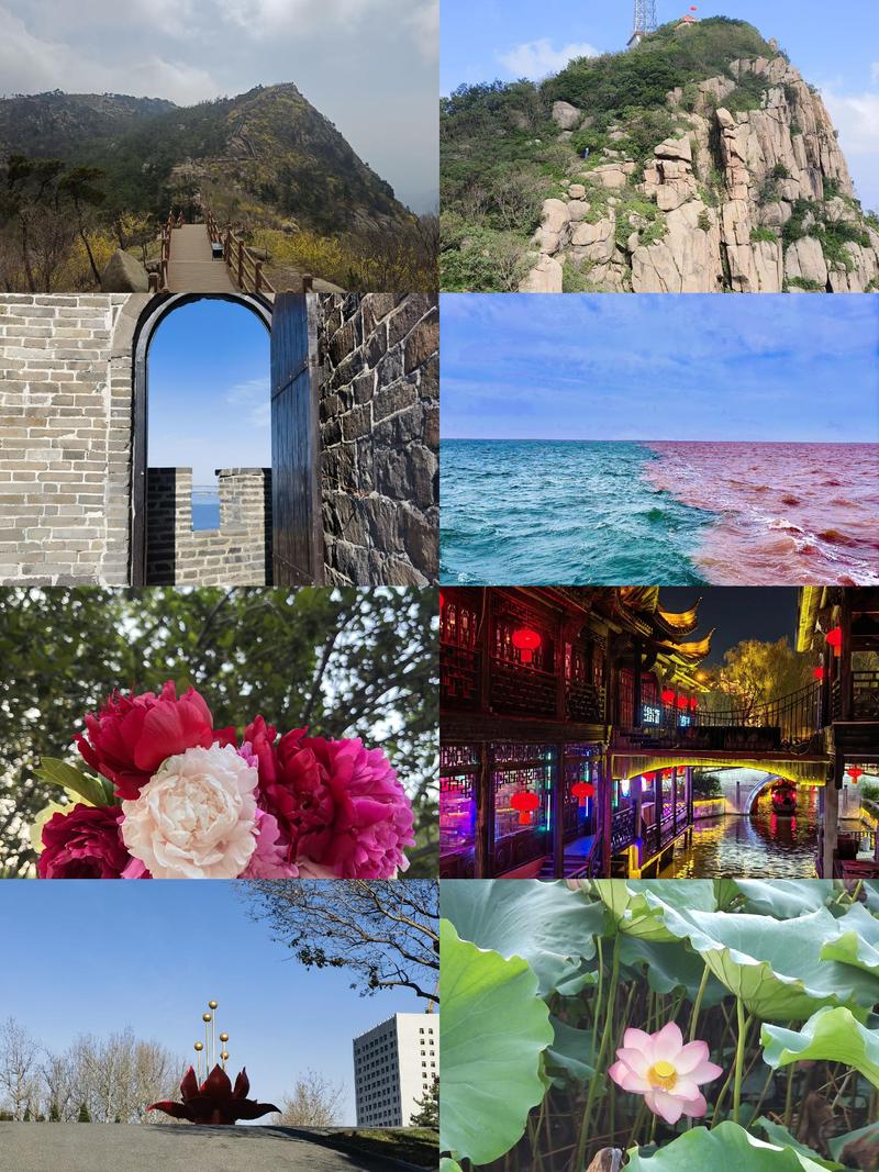 山东一日游景点大全自驾游