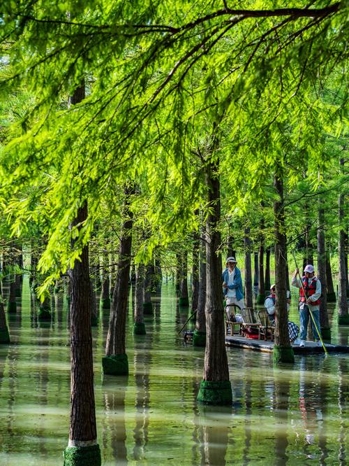 宿迁周边城市自驾游景点推荐