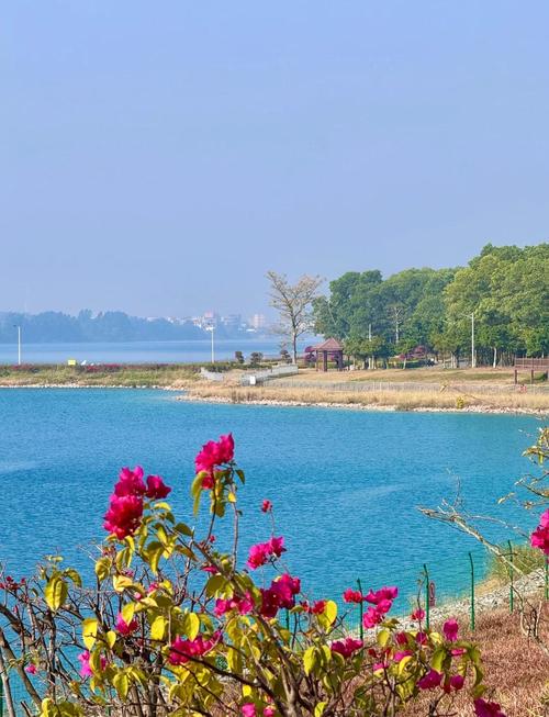 茂名周边旅游景点大全自驾游