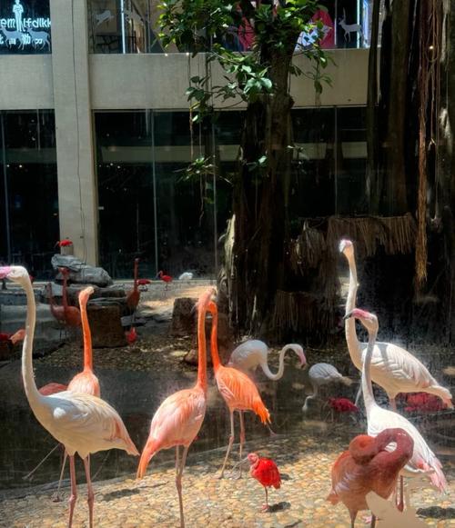 广州长隆野生动物园酒店