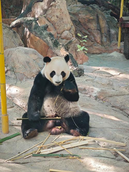 广州长隆野生动物园酒店