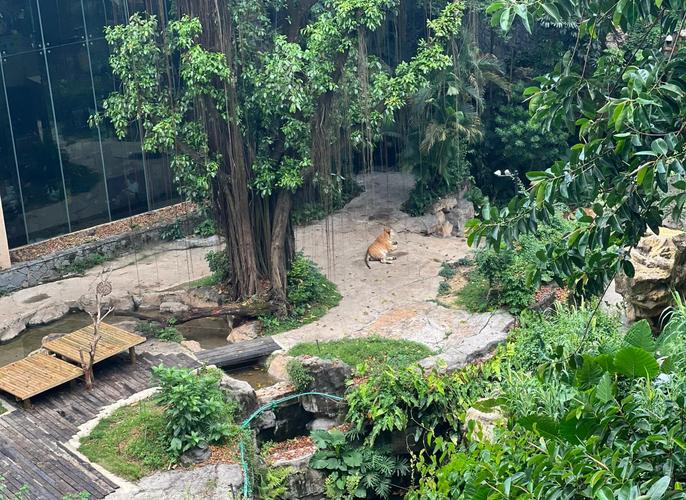 广州长隆野生动物园酒店