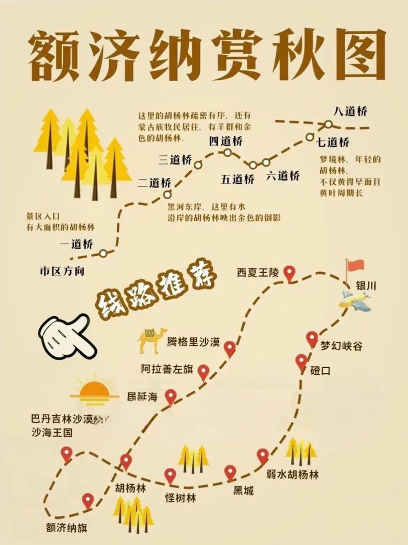 额济纳旗胡杨林自驾游攻略