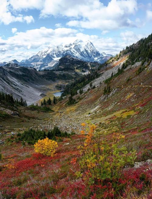 温哥华 西雅图 自驾游