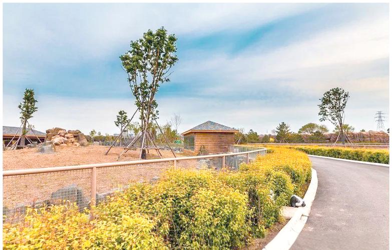 大庆 齐齐哈尔 自驾游