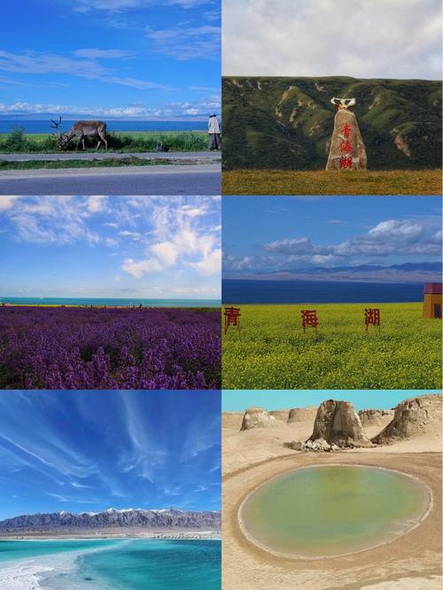 青海湖自驾游海湖自驾游