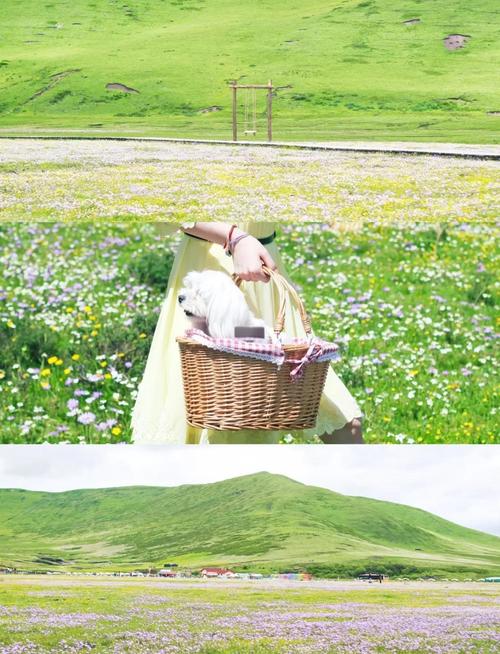 自驾游俄么塘花海自驾游