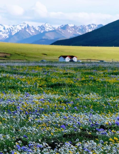 自驾游俄么塘花海自驾游