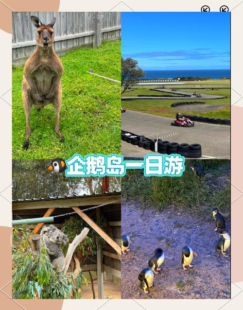 澳大利亚墨尔本旅游景点攻略