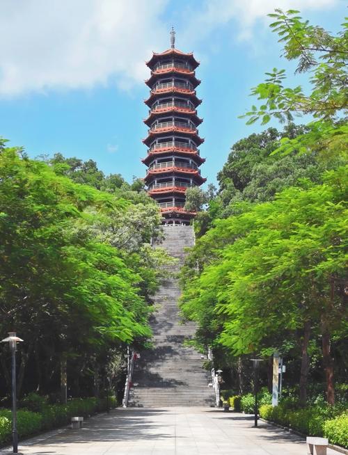 深圳适合老人游玩的景点推荐