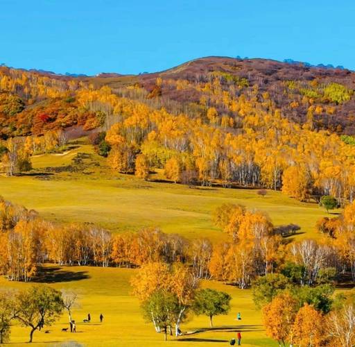 承德塞罕坝国家森林公园景点