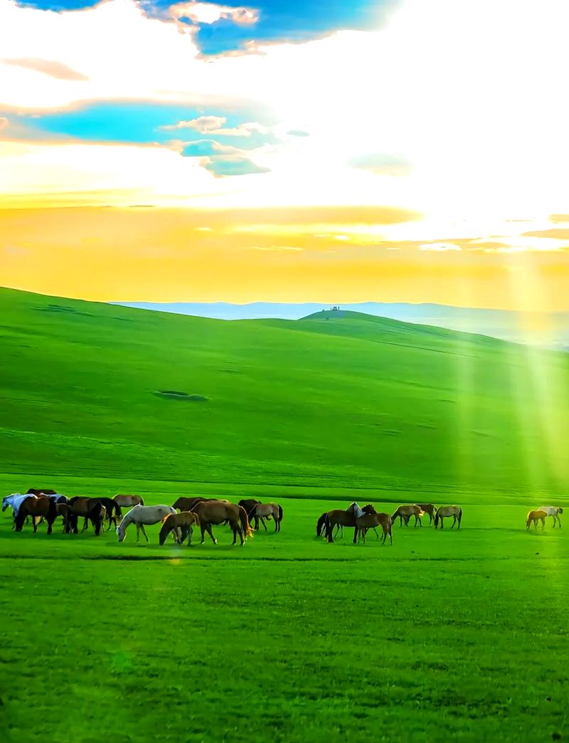 呼伦贝尔大草原都有哪些景点