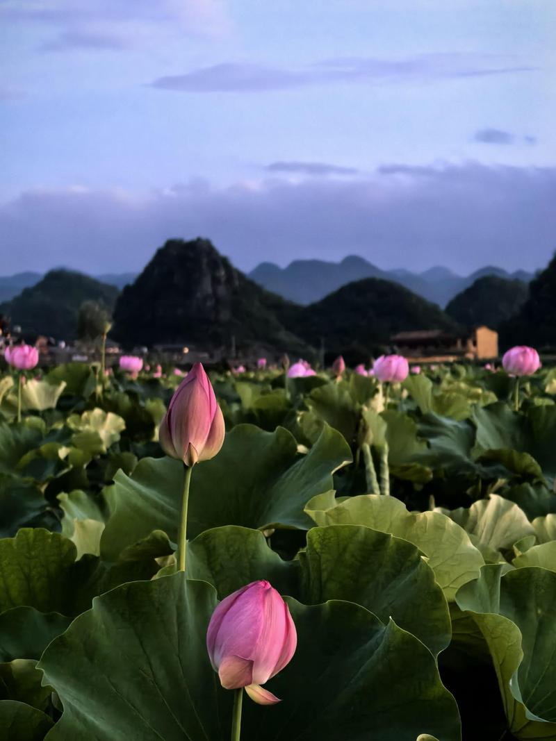 文山壮族苗族自治州旅游景点