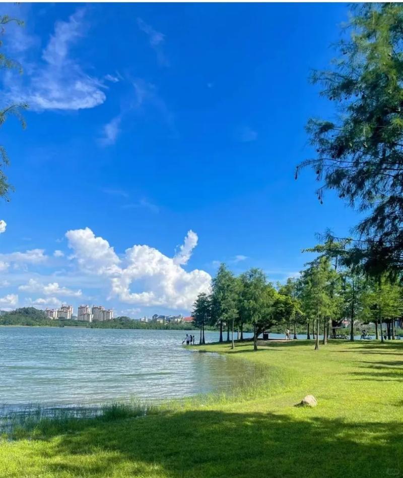 东莞市免费的旅游景点有哪些