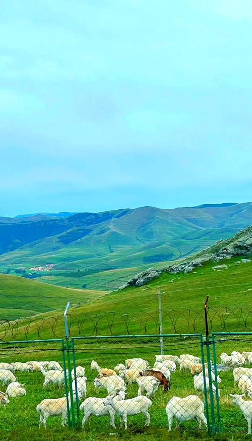 呼和浩特周边自驾游景点