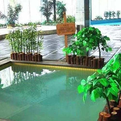 金麒玉麟温泉二日自驾游