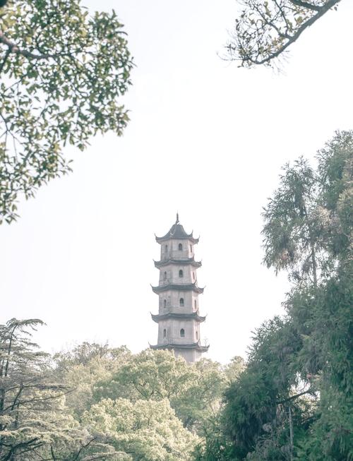 温州旅游攻略必去景点江心屿