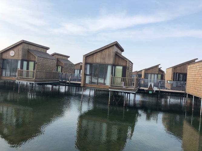 月坨岛温泉自驾游多少钱