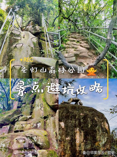 圣灯山森林公园自驾游攻