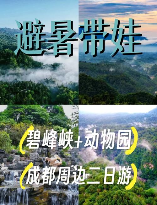 成都到碧峰峡自驾游攻略