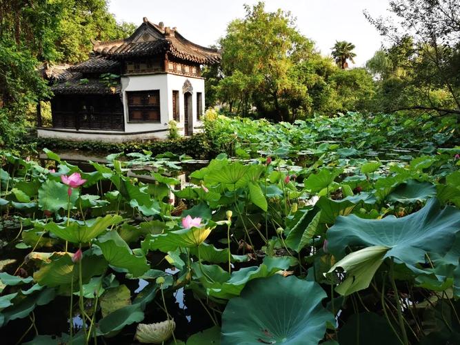 上海到扬州沿途有哪些景点