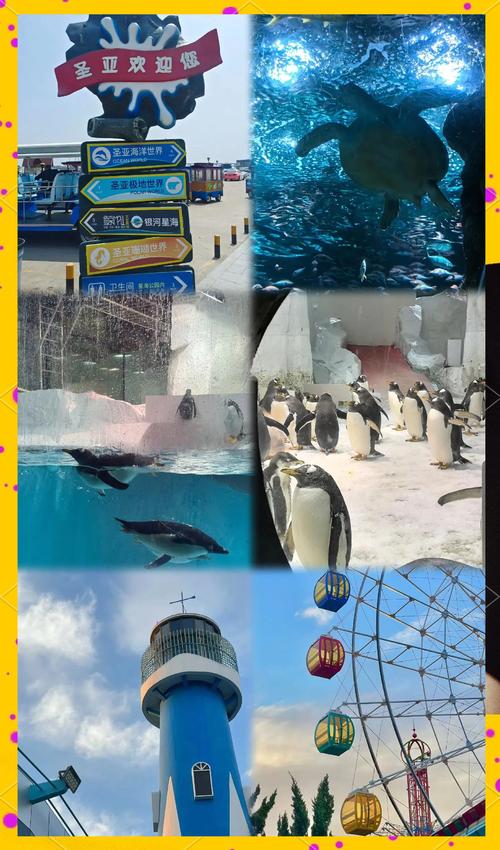 圣亚海洋世界自驾游推荐