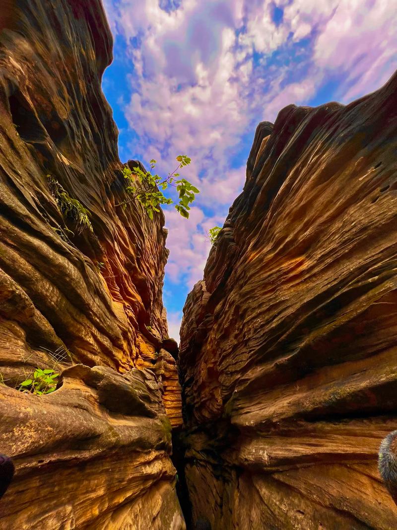 德阳附近一日游景点自驾游