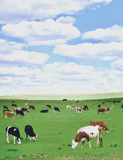 内蒙古乌兰察布市旅游景点