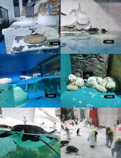 圣亚海洋世界自驾游攻略