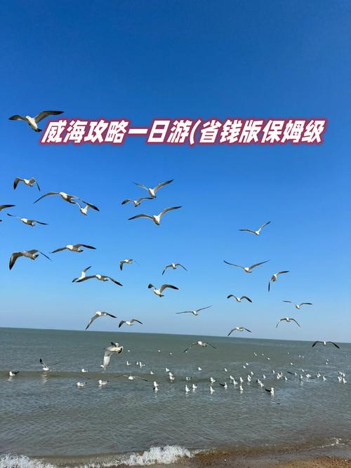 哈尔滨到威海自驾游攻略