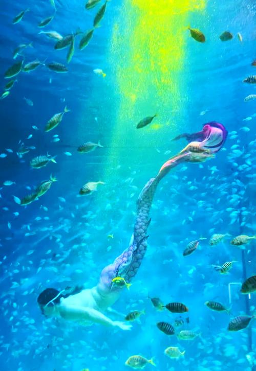 青岛海底世界景点自驾游