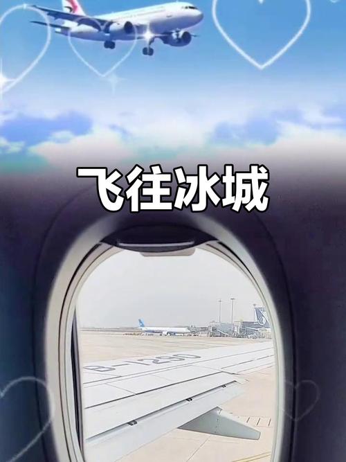 哈尔滨到青岛自驾游攻略