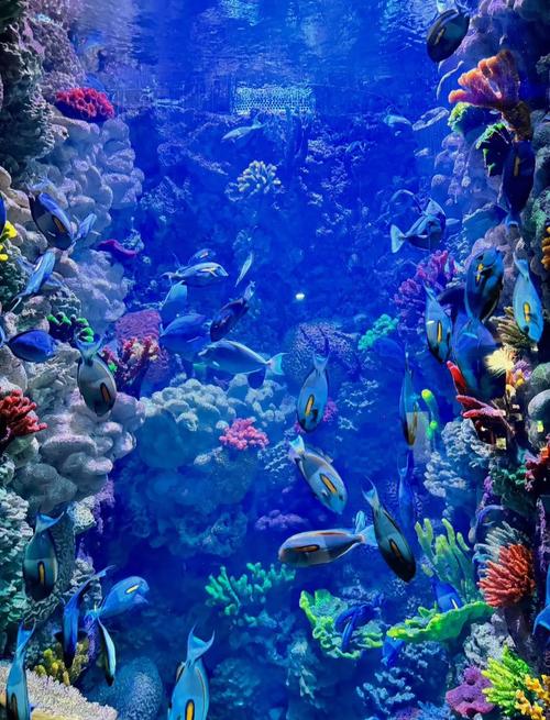 青岛海底世界自驾游推荐