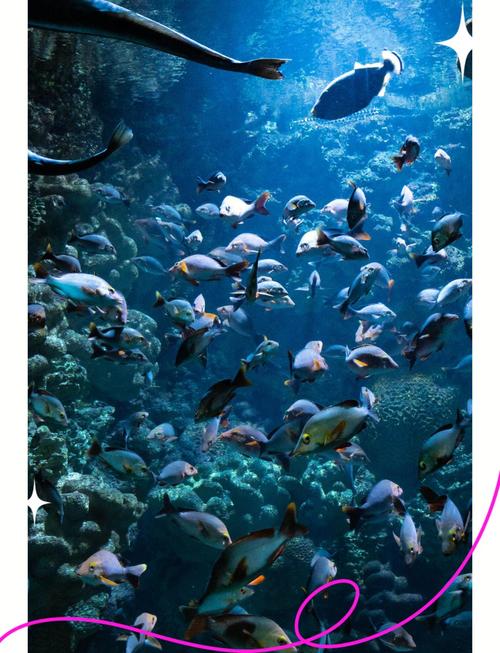 青岛海底世界自驾游推荐