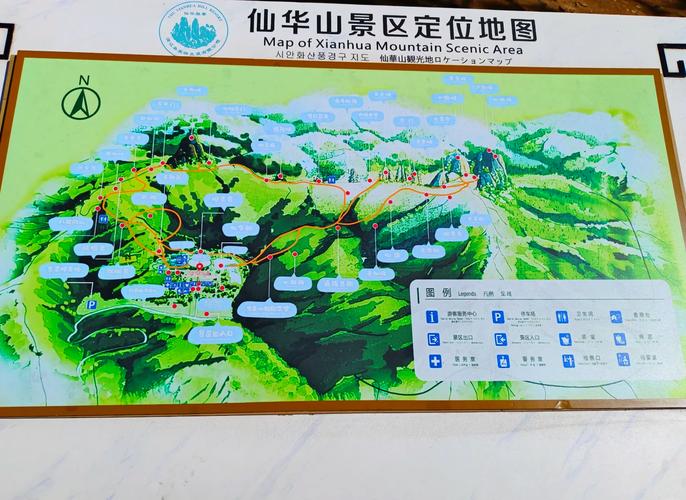 强生浦江游览自驾游攻略