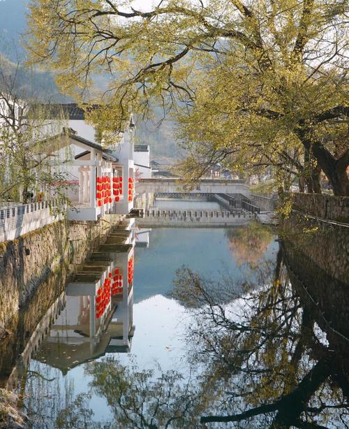 强生浦江游览自驾游攻略