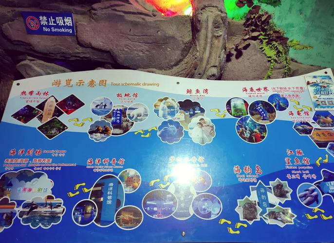 海洋温泉亲子自驾游路线