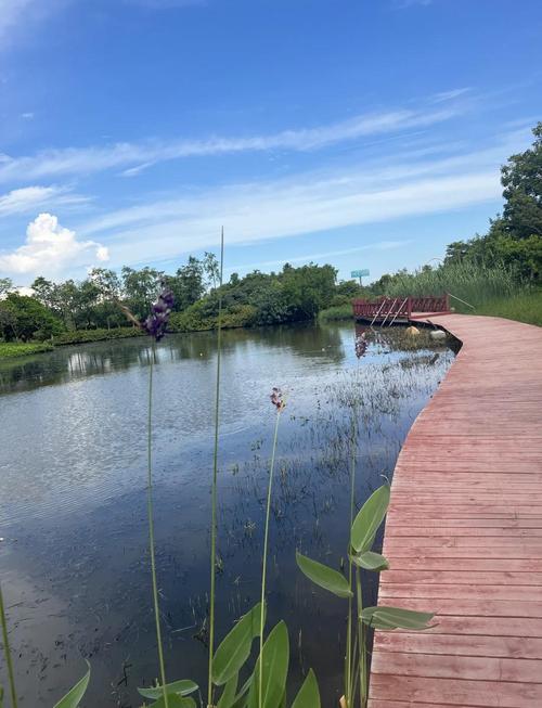 南沙湿地景区自驾游攻略
