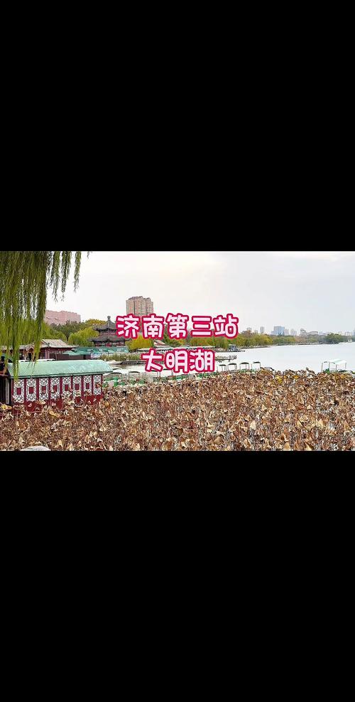 2025济南周边自驾游