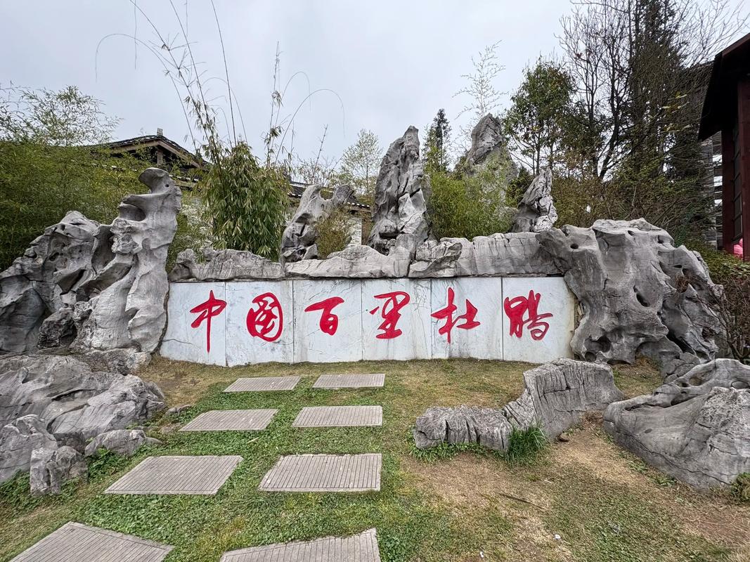 毕节大方县旅游景点有哪些